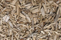 biomass boilers Escrick
